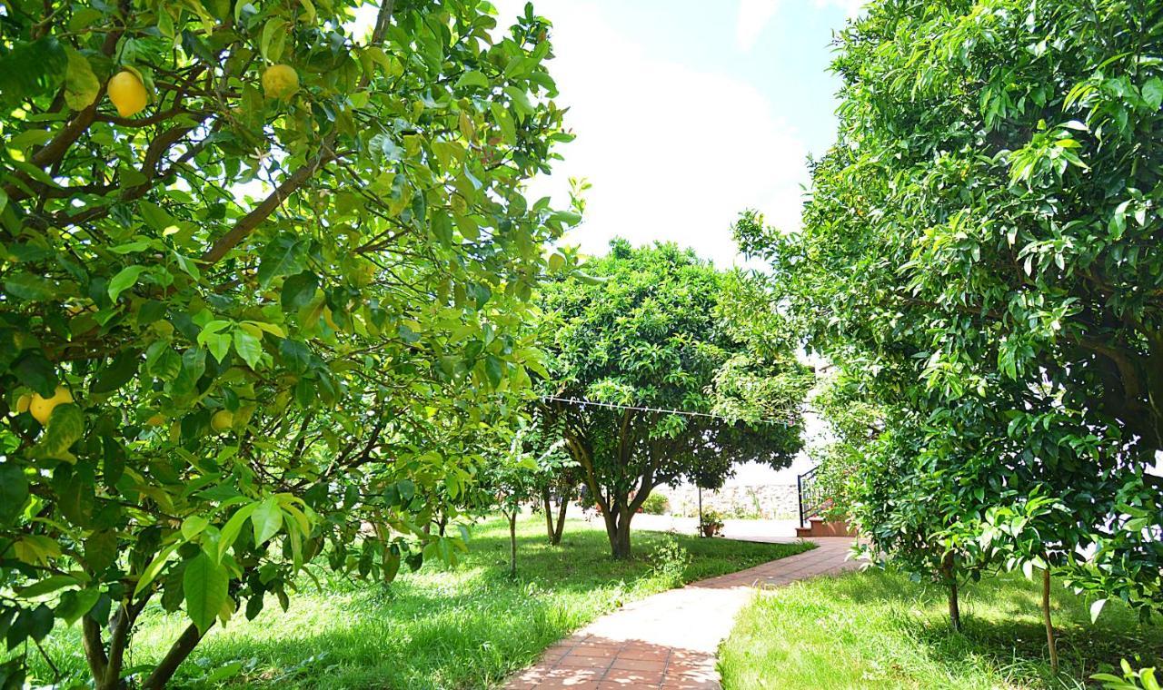 Galihost - Villa Garcia Valga Exterior foto